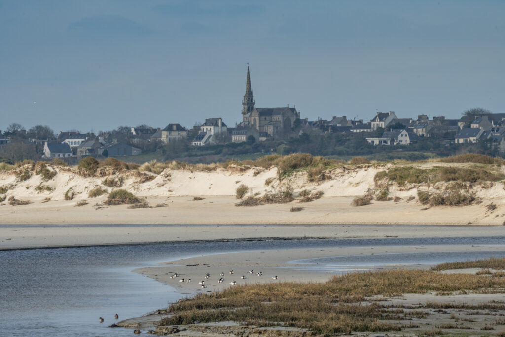 baie de goulven keremma oiseaux hiver finistere nord gr34 randonnee ocean atlatique