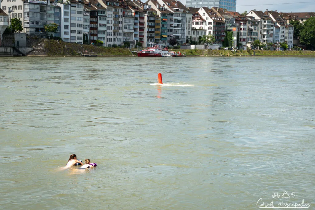 baignade-rhin-bale
