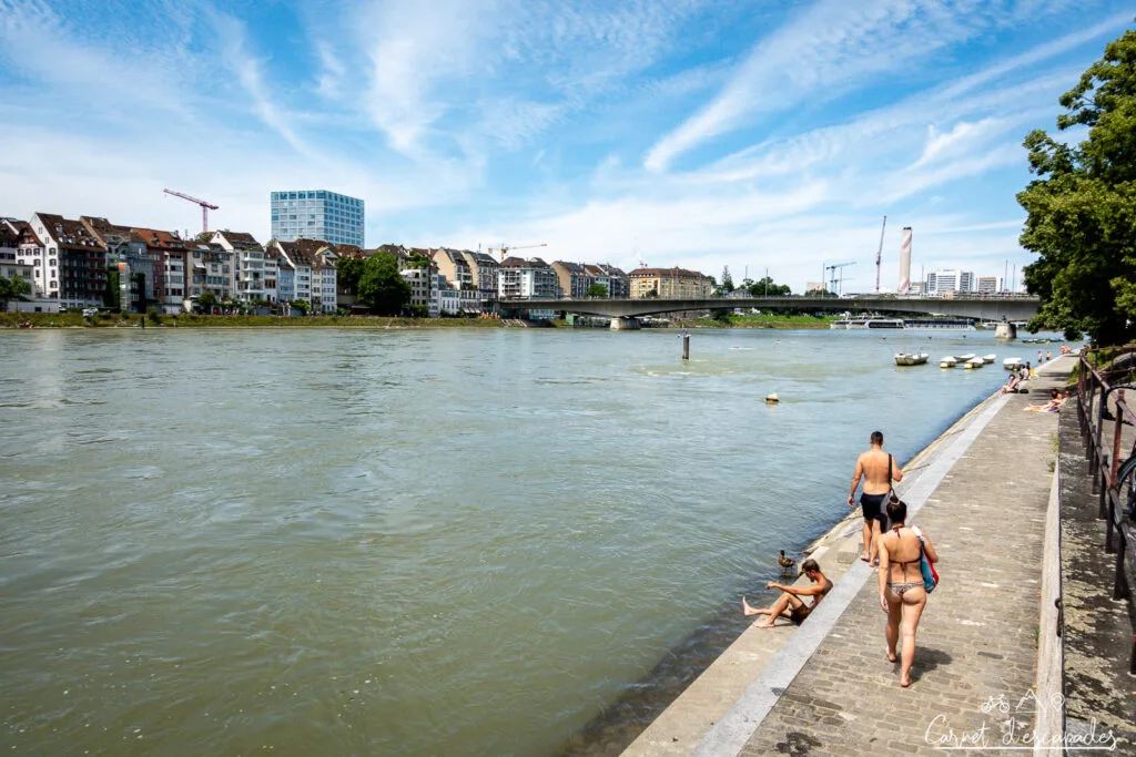 bale-baignade-rhin