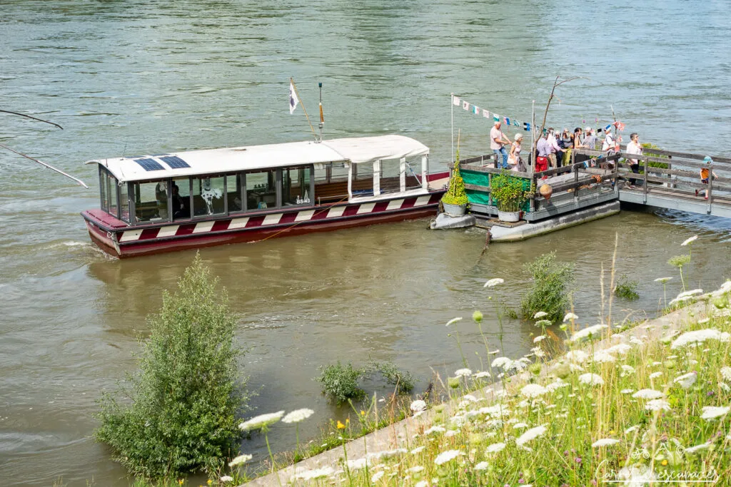 bateau-rhin-bale