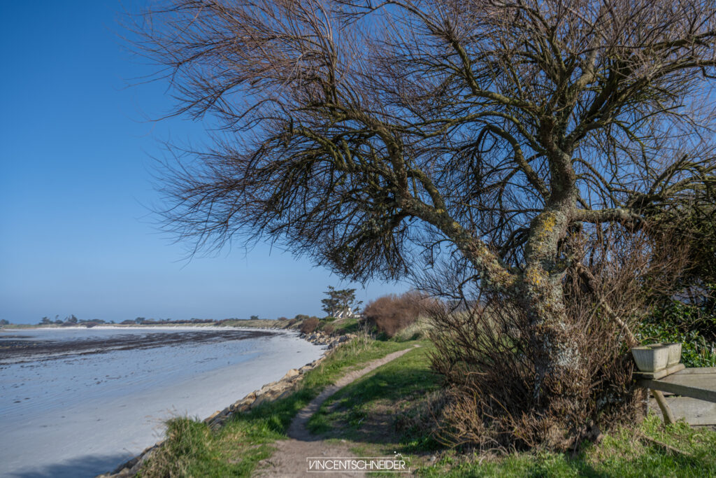 gr34 roscoff santechiver finistere nord gr34 randonnee ocean atlatique 666