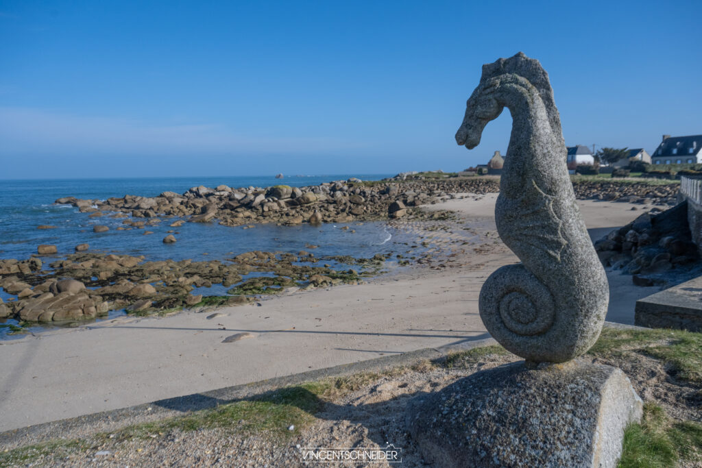 hippocampe plouescat prosmeur hiver finistere nord gr34 randonnee ocean atlantique