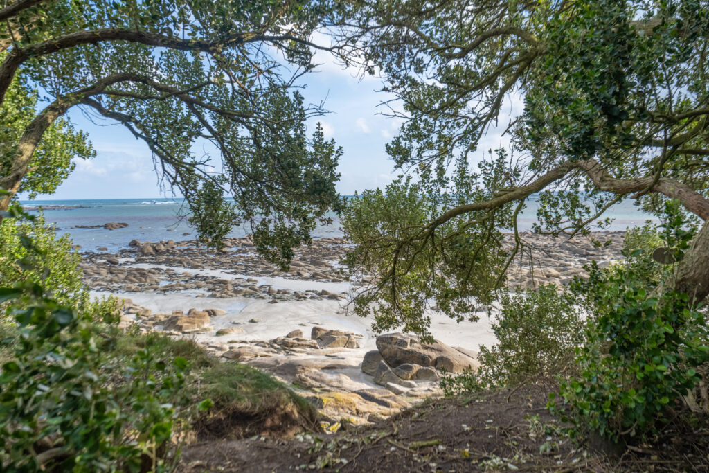 passage arbres brignogan hiver finistere nord gr34 randonnee ocean atlatique 410
