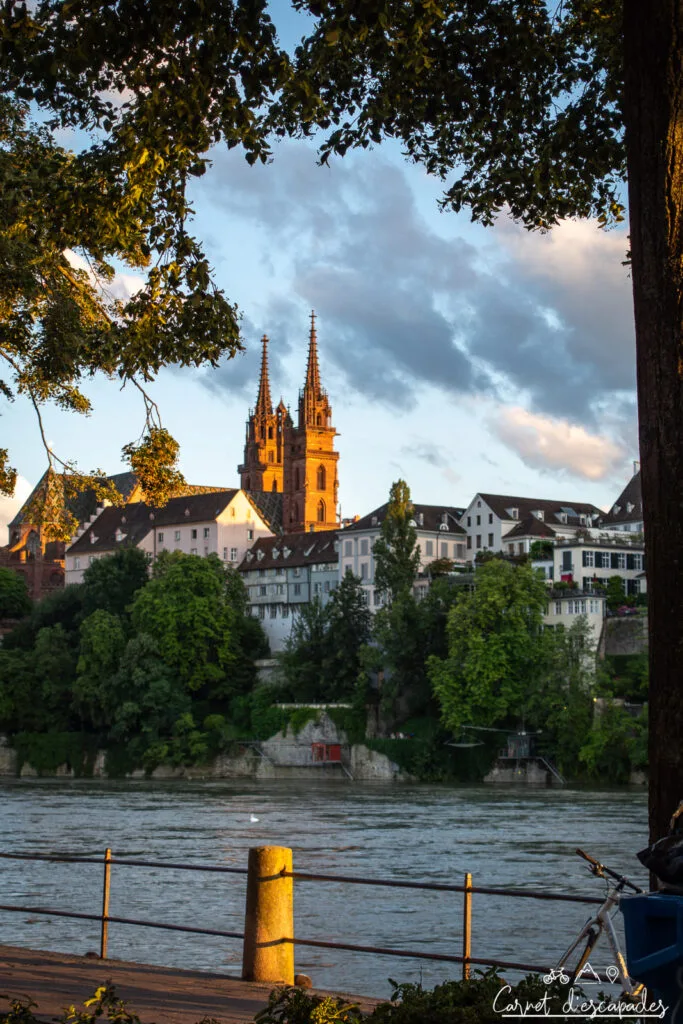 vue-cathedrale-bale-rhin