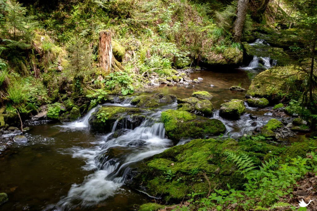 gorges-ravenna