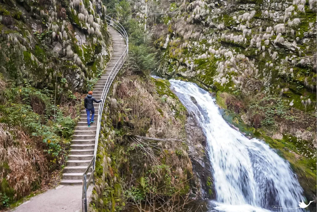 parc-national-foret-noire-allerheiligen