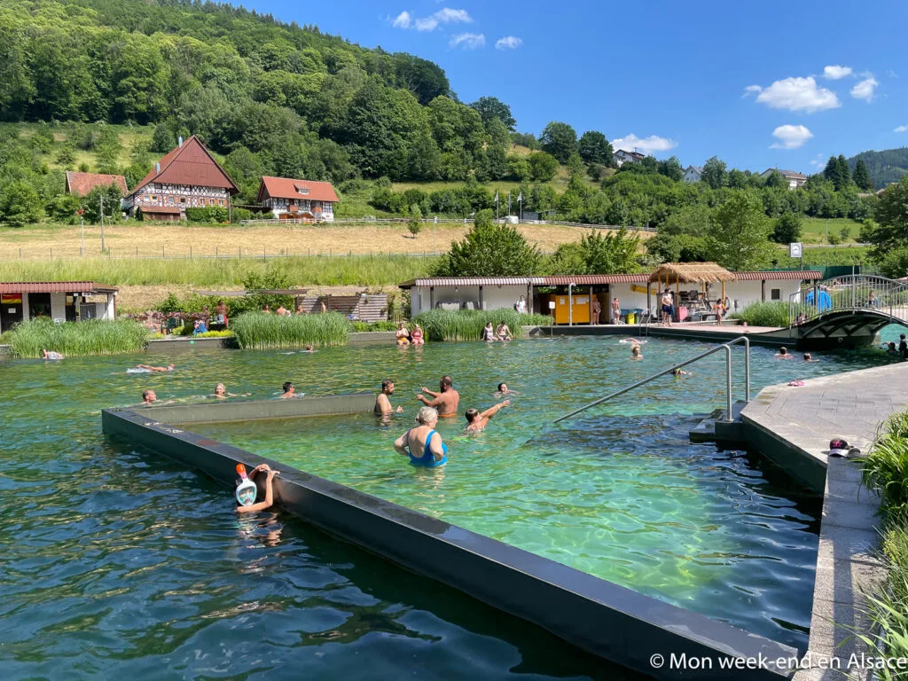 piscine-naturelle-ottenhofen