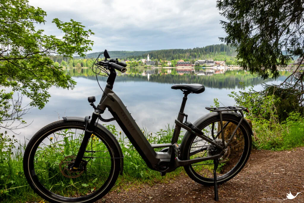 velo-assistance-electrique-titisee
