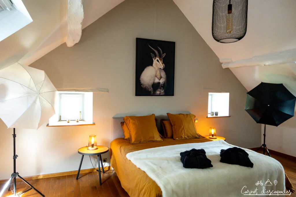 chambre-hotes-belettes-bastogne