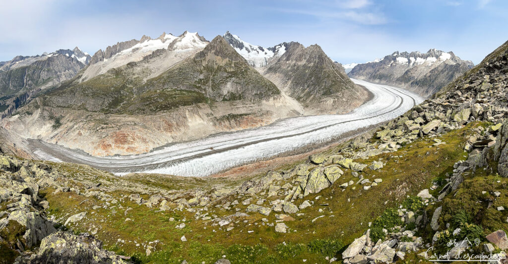 Glacier d'Aletsch (photo panoramique)
