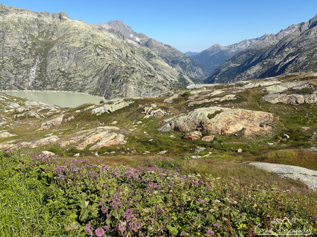 Paysage au Col du Grimsel