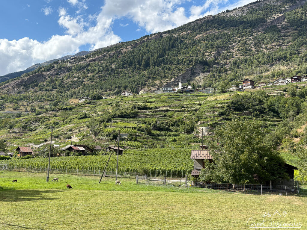 vignes-route-rhone-suisse