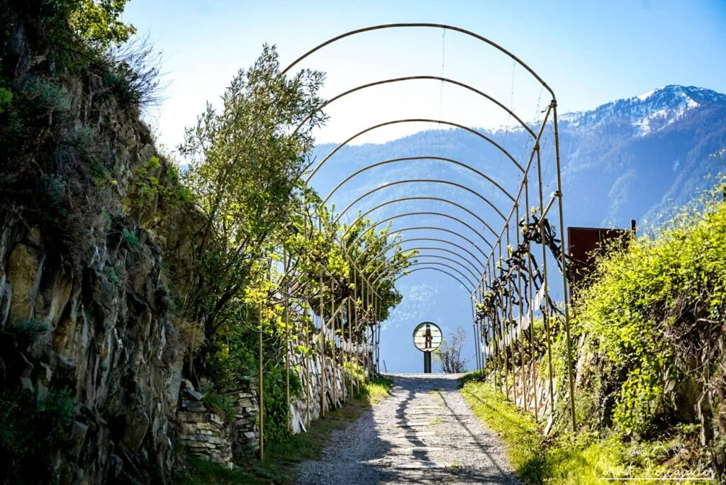acces vigne farinet saillon