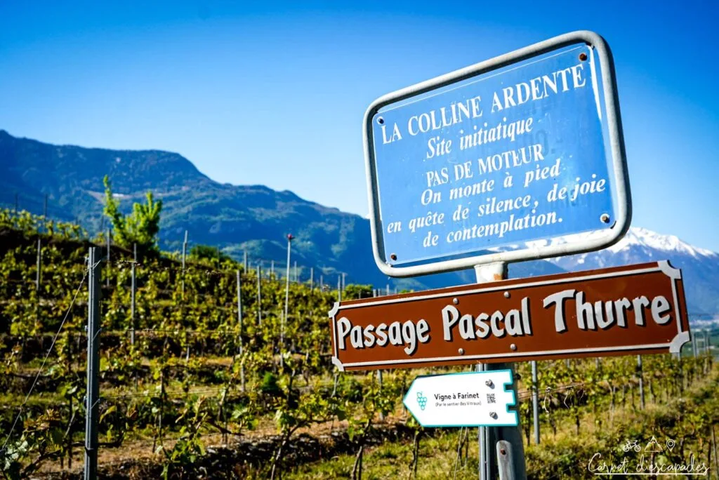colline ardente panneau