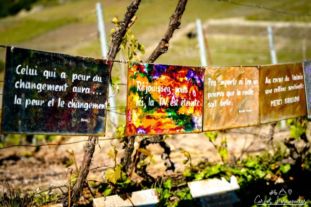 Panneaux dans la Vigne à Farinet à Saillon
