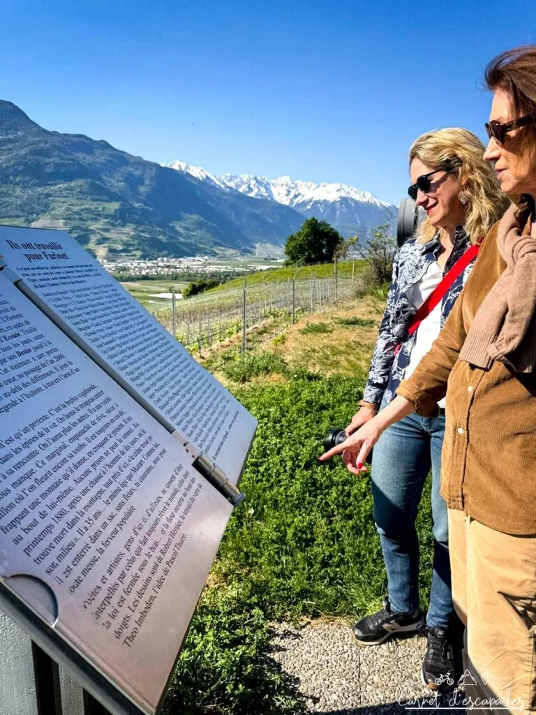 vigne farinet panneau explications