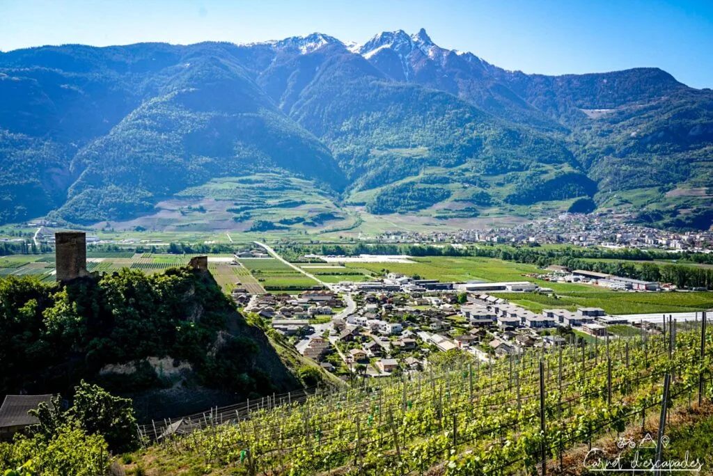 Vue sur Saillon depuis la Vigne à Farinet (Colline Ardente)