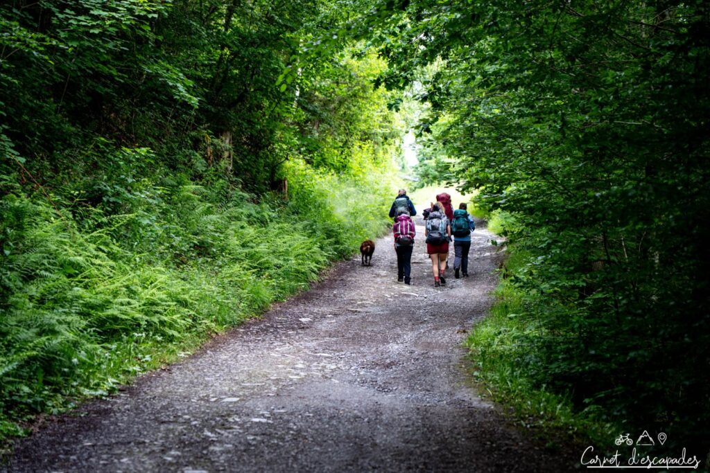 Groupes de femmes randonneuses de Mountainizer