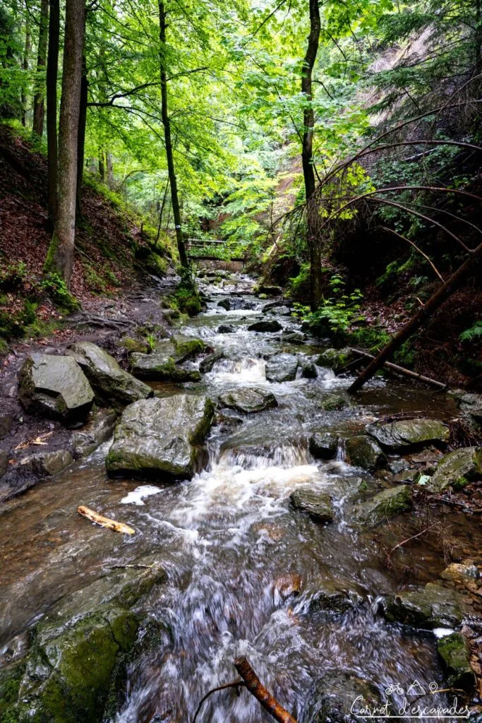 Ruisseau du Ninglinspo en Wallonie (Belgique)