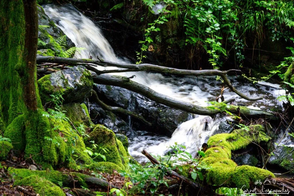 Torrent du Ninglinspo