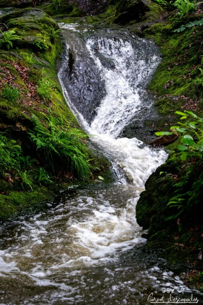 Le ruisseau du Ninglinspo en Wallonie