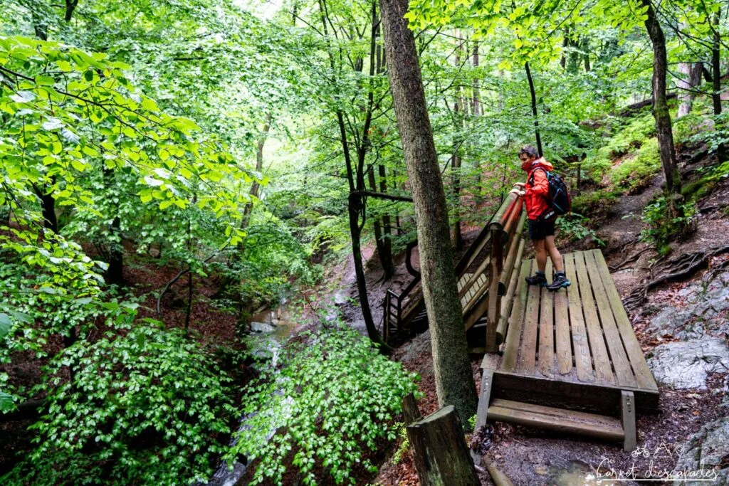 Passerelle en bois sur la balade du Ninglinspo