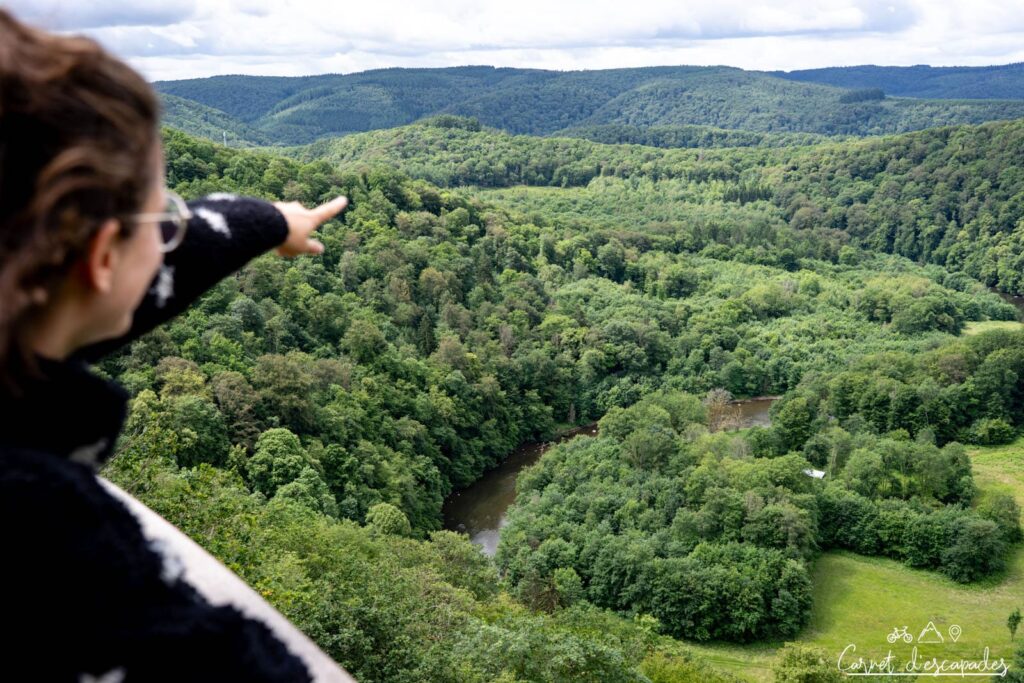 point vue jambon wallonie