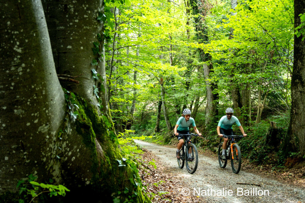 Cyclistes en forêt