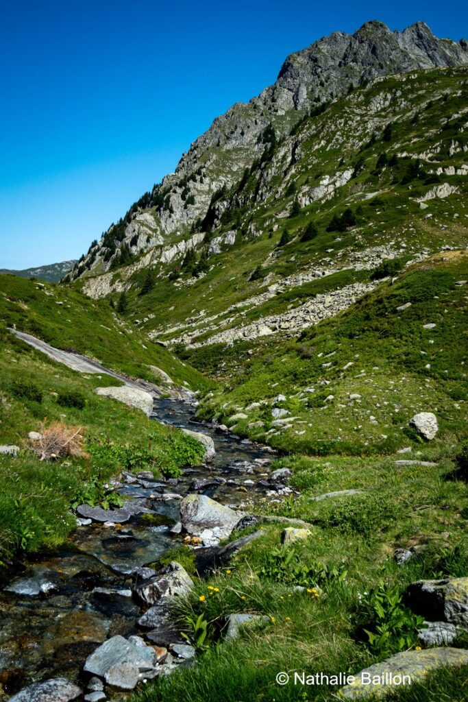 Montagne et rivière
