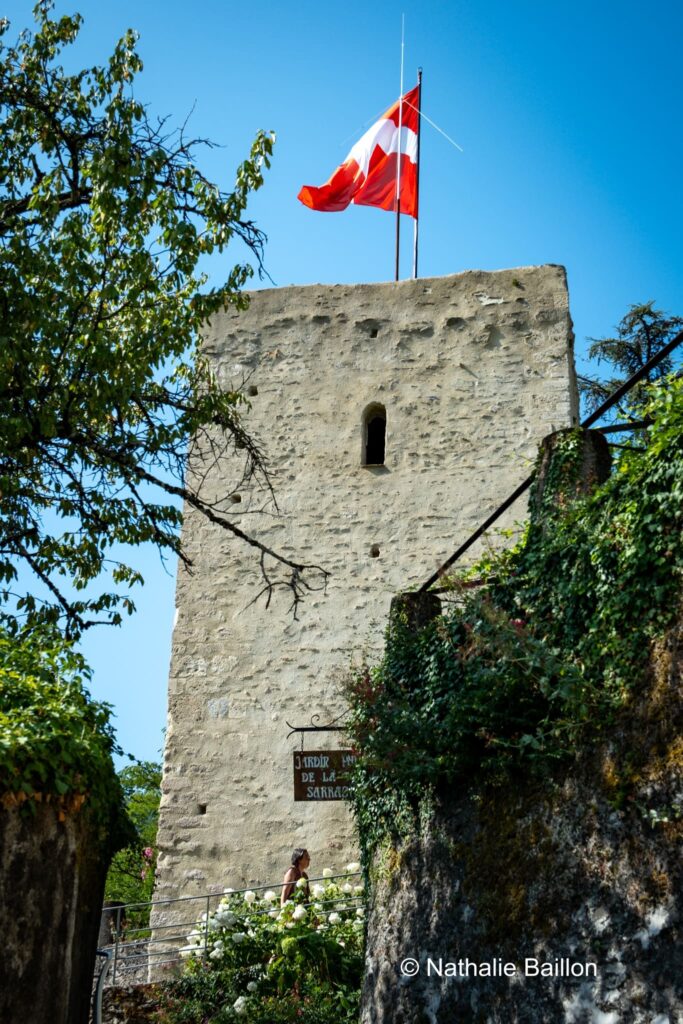 Tour Sarrasine