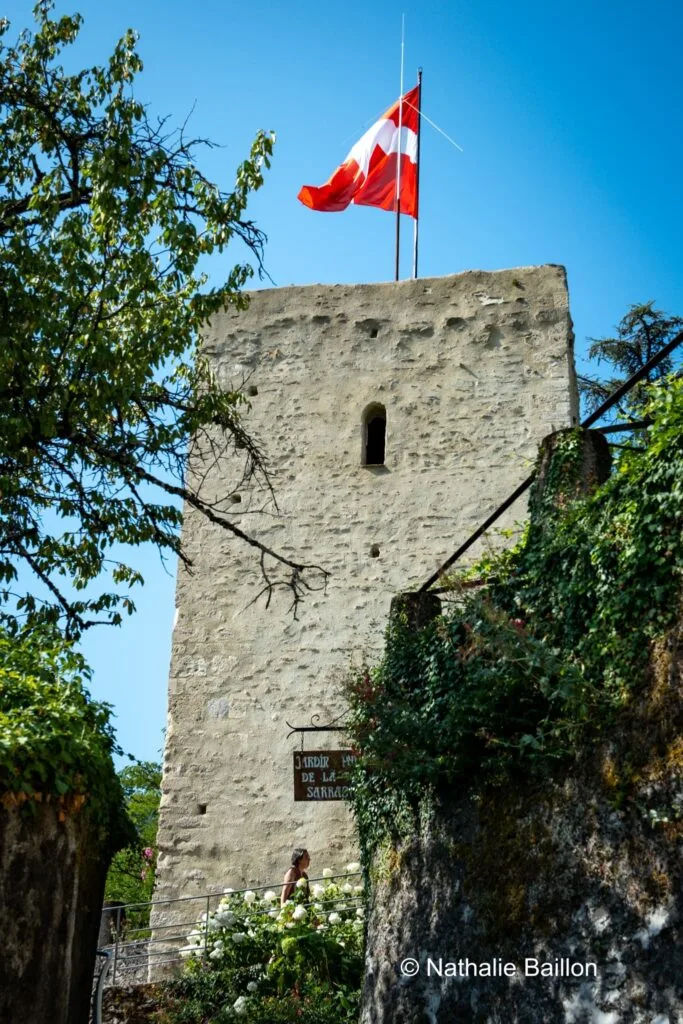 Tour Sarrasine
