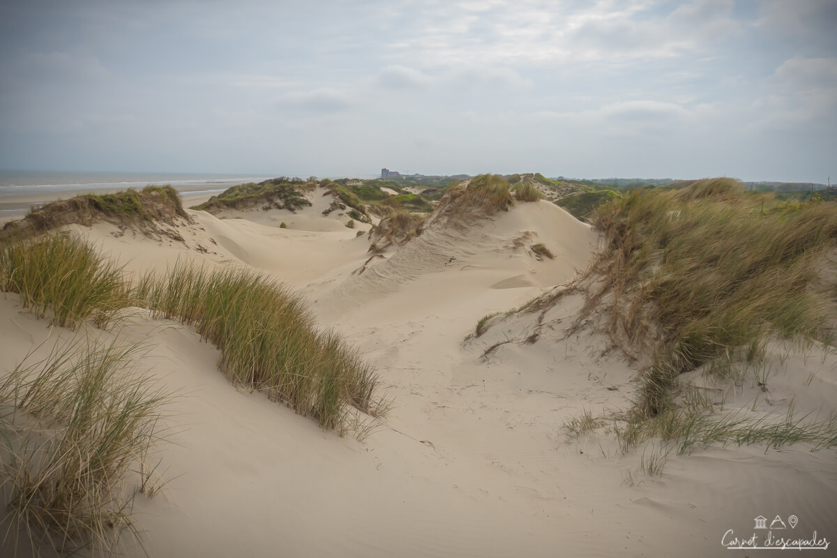 dunes-flandres