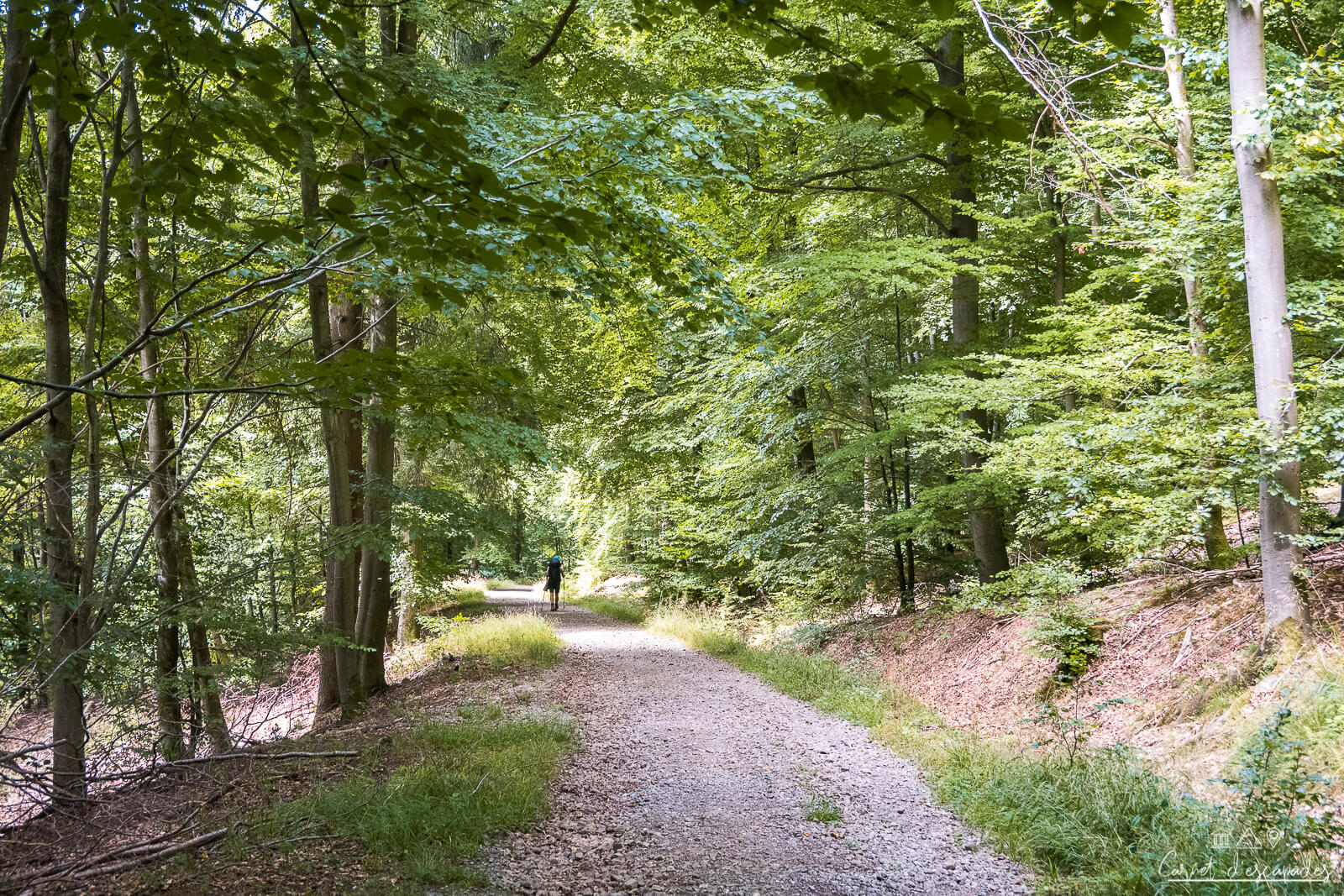 randonneur-foret-ardenne
